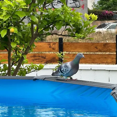 Holiday home Maruca - Sea & Pool Garden Retreat